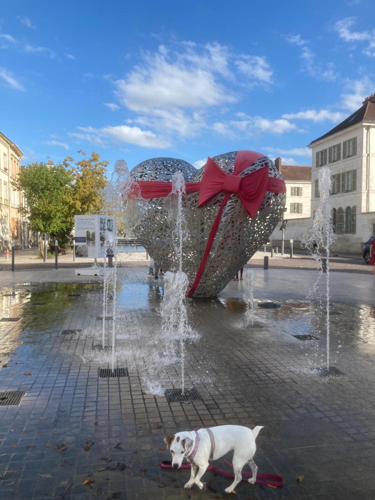 Papillons De Nuit Champagne Troyes Διαμέρισμα Εξωτερικό φωτογραφία